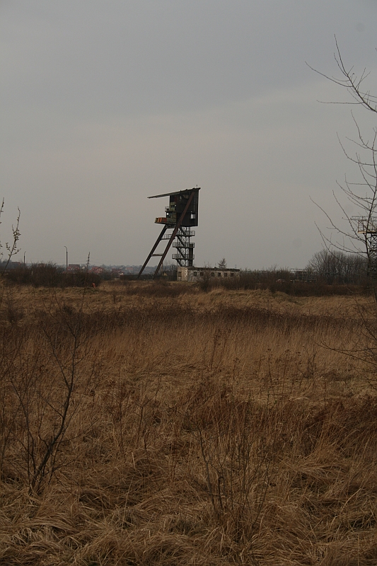 JuraSportPasternik 155